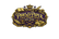 Shadow's Little Pet Shop - Home